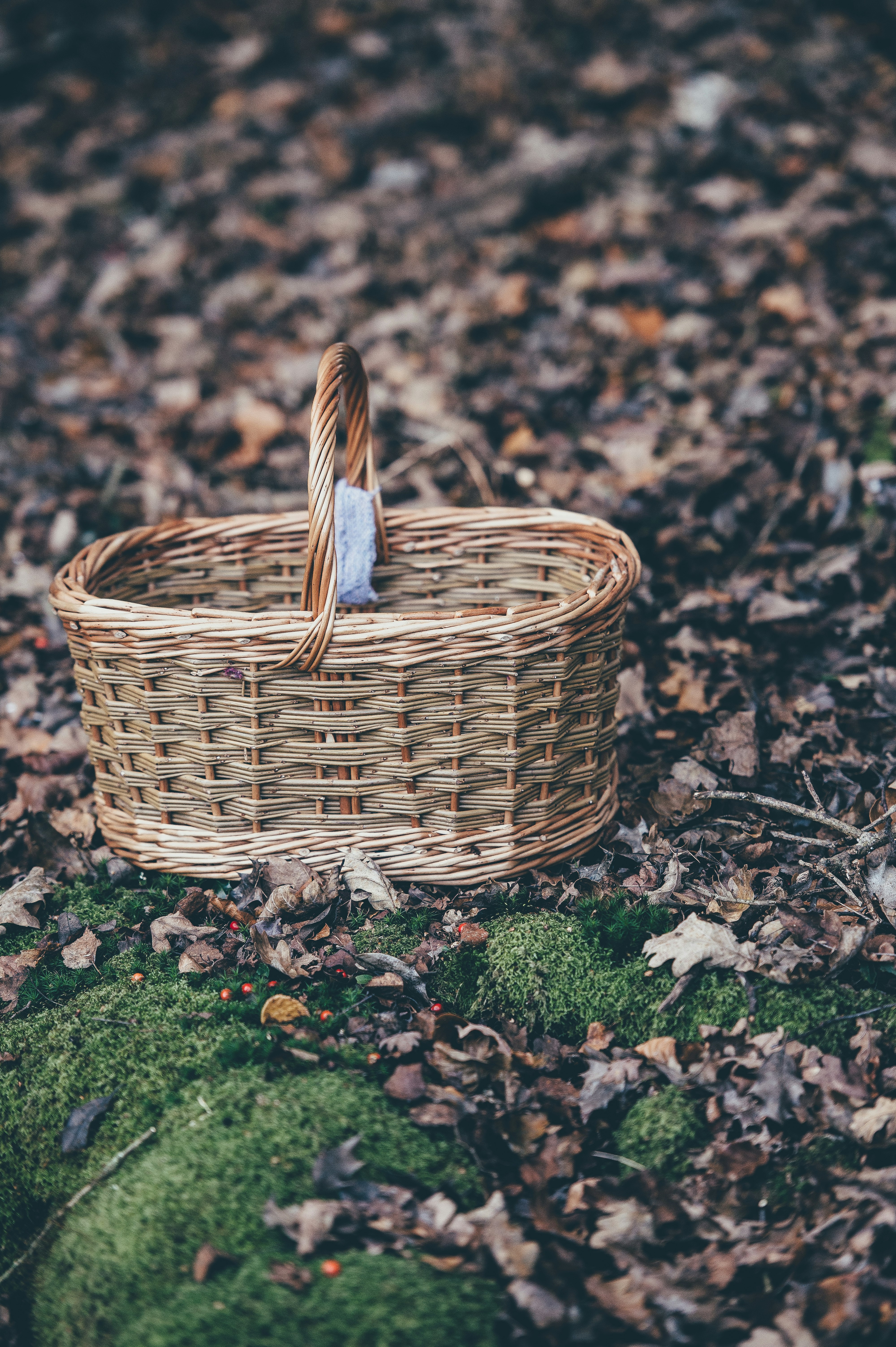 closeup photography of brown wicker basket